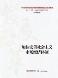 《加快完善社会主义市场经济体制(学习贯彻习近平新时代中国特色社会主义经济思想做好“十四五”规划编制和发展改革工作系列丛书)》-丛书编写组