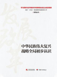 《中华民族伟大复兴战略全局初步认识(学习贯彻习近平新时代中国特色社会主义经济思想 做好“十四五”规划编制和发展改革工作系列丛书)》-丛书编写组