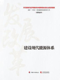 《建设现代能源体系(学习贯彻习近平新时代中国特色社会主义经济思想 做好“十四五”规划编制和发展改革工作系列丛书)》-丛书编写组