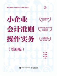 《小企业会计准则操作实务(第6版)》-史玉光