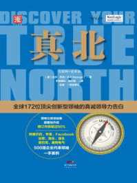 《真北:互联网+变革版》-比尔·乔治