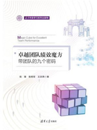 《卓越团队绩效魔方:带团队的九个密码》-陈慧