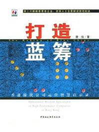 《打造蓝筹:香港绩优公司运营智慧启示录》-唐俊