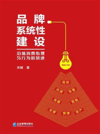 《品牌系统性建设:沿循消费心理与行为的轨迹》-关键