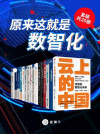 《原来这就是数智化(全20册)》-张其亮