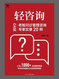 《轻咨询:老板问诊管理咨询专家实录20例》-董坤