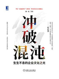 《冲破混沌:生生不息的企业文化之光》-潘一宽