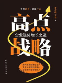 《高点战略:企业逆势增长之道》-董彦峰