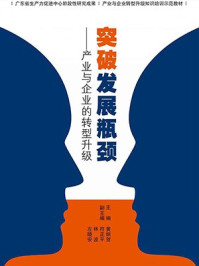 《突破发展瓶颈:产业与企业的转型升级》-黄炳贺