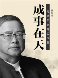 《成事在天:走进王志纲工作室》-薛永应