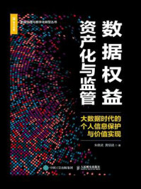 《数据权益资产化与监管:大数据时代的个人信息保护与价值实现》-朱晓武