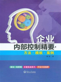 《企业内部控制精要:方法·模板·案例》-娄权
