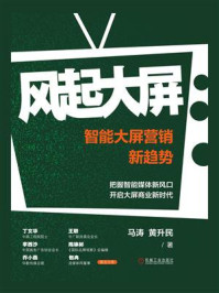 《风起大屏:智能大屏营销新趋势》-马涛