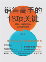 《销售高手的18项关键:销售小白到高手的实用进阶指南》-钱敏