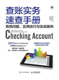 《查账实务速查手册:高频问题、实用技巧与实战案例》-袁小勇