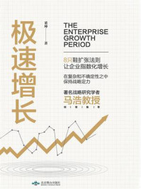 《极速增长:企业扩张策略》-董坤