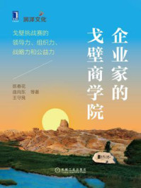 《企业家的戈壁商学院:戈壁挑战赛的领导力、组织力、战略力和公益力》-陈春花