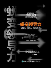 《蜕变领导力:战略、创新、情境管理》-大卫·威尔金斯