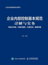 《企业内部控制基本规范详解与实务:风险点识别+关键点把控+实操范本+案例详解》-平准