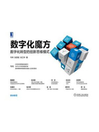 《数字化魔方:数字化转型的创新思维模式》-韦玮