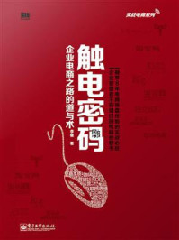 《触电密码:企业电商之路的道与术》-李健