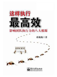 《这样执行最高效:影响团队执行力的八大根源》-蒋巍巍