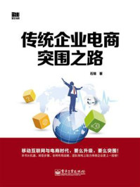 《传统企业电商突围之路(双色)》-石锦