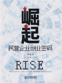 《崛起:民营企业创业密码》-孙金云-mobi、epub、azw3、pdf电子书免费下载/宝阳读书小站