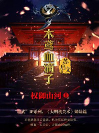 《木鸢血滴子2:权御山河》-苏启文-mobi、epub、azw3、pdf电子书免费下载/宝阳读书小站