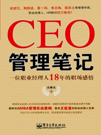 《CEO管理笔记:18年的职场感悟》-天外天