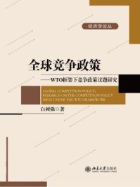 《全球竞争政策:WTO框架下竞争政策议题研究(经济学论丛)》-白树强