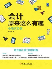 《会计原来这么有趣:中级实务篇》-刘海涛
