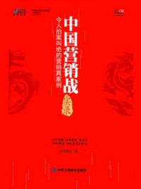 《中国营销战实录:令人拍案叫绝的营销真案例》-联纵智达