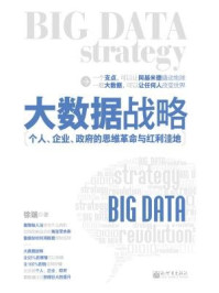 《大数据战略:个人、企业、政府的思维革命与红利洼地》-徐端