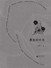《诗想者 黑色的火光》-陈雅飞