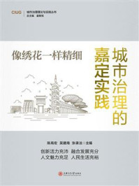 《像绣花一样精细:城市治理的嘉定实践》-陈高宏