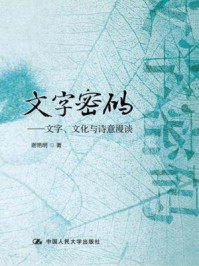 《文字密码:文字、文化与诗意漫谈》-谢艳明
