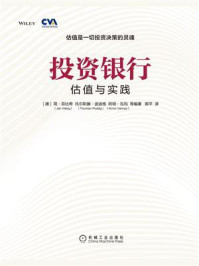 《投资银行:估值与实践》-简·菲比希