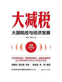 《大减税:大国税改与经济发展(财之道丛书)》-李炜光