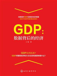 《GDP:数据背后的经济》-王旸