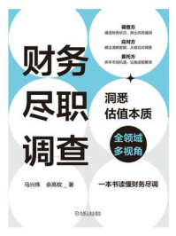 《财务尽职调查:洞悉估值本质》-马兴伟
