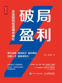 《破局盈利:企业如何在逆境中增长》-王导