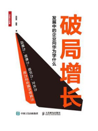 《破局增长:发展中的企业向华为学什么》-宋柳男