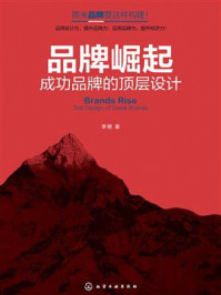 《品牌崛起:成功品牌的顶层设计》-李艳