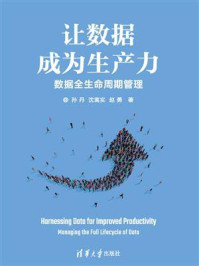 《让数据成为生产力:数据全生命周期管理》-孙丹