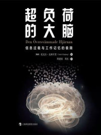 《超负荷的大脑:信息过载与工作记忆的极限》-托克尔·克林贝里