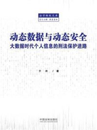 《动态数据与动态安全:大数据时代个人信息的刑法保护进路》-于冲