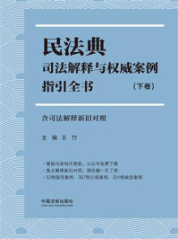 《民法典司法解释与权威案例指引全书:含司法解释新旧对照(下卷)》-王竹