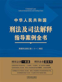 《中华人民共和国刑法及司法解释指导案例全书(第3版)》-中国法制出版社