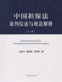《中国担保法裁判综述与规范解释（上）》-高圣平